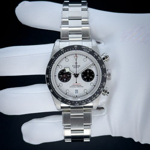 2026 mint tudor black - 2026, bay