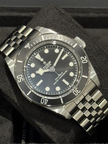 Tudor black bay - bay, monochrome