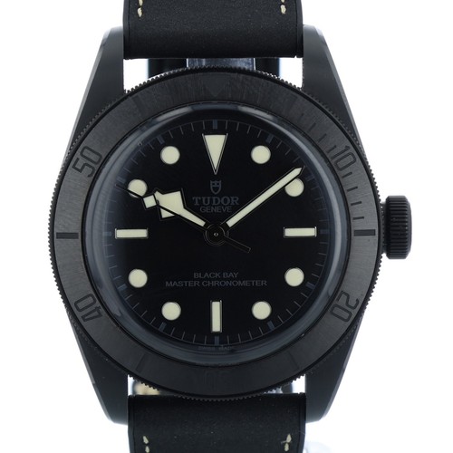 Tudor black bay - bay, 41