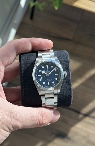 Tudor black bay - bay, 36