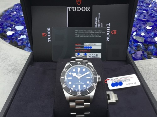 Tudor black bay - bay, 68
