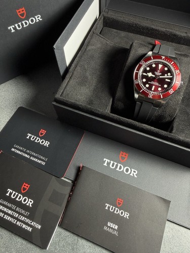 2026 tudor black - black, bay