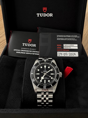 Tudor black bay monochrome - tudor,