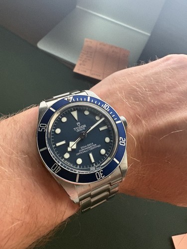 Tudor black bay - bay, blue