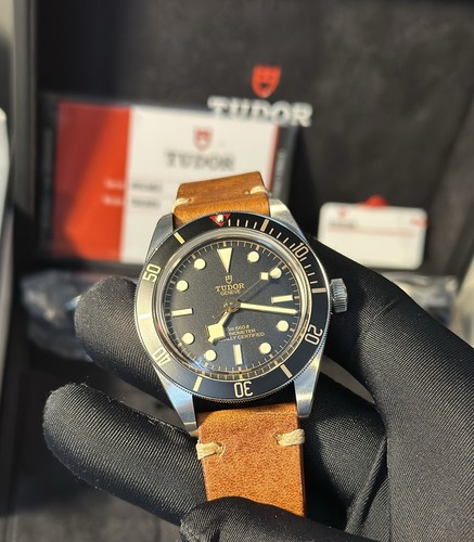 Tudor black bay - tudor, dial