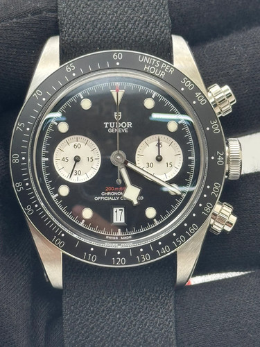 Elive tudor black bay - elive-,