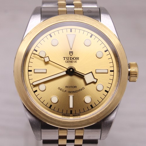 Tudor black bay - black, two