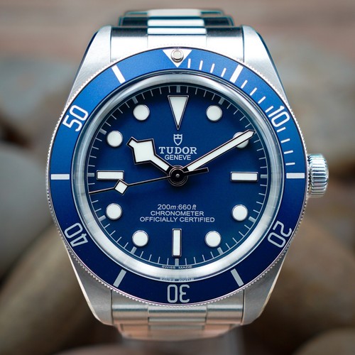 Tudor black bay - bay, 2026