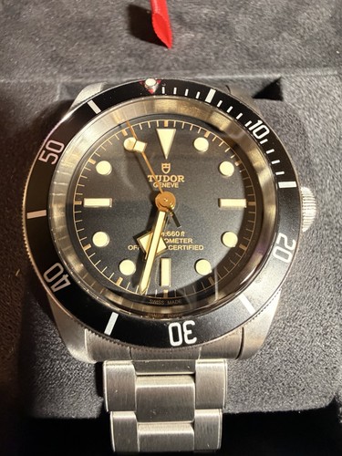 Tudor black bay - bay, heritage