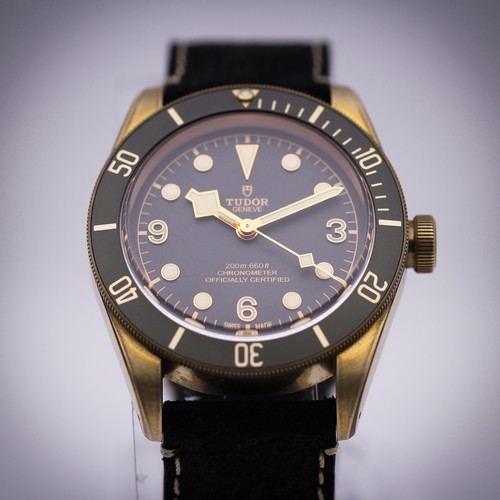 2022 tudor black - 2022, bronze