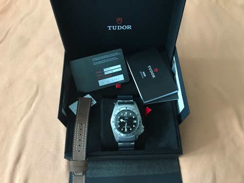Tudor black bay - bay,