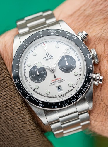 Tudor black bay - black, panda