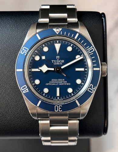 Tudor black bay 79030b - bay,
