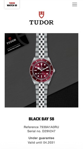 Tudor black bay burgundy - black, 58