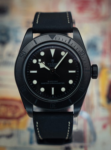 2023 tudor black - tudor, bay